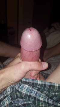 Precum dripping from my hard cock