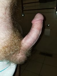 And now my fully erect cock.