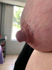 New fuck buddy ...Gorgeous nipples and tits - Any comments ? Now you can se...