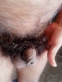 Hairli long penish