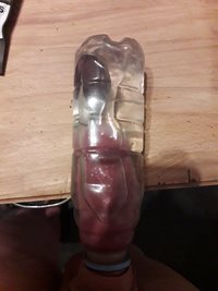 Spooning and fucking a bottle.