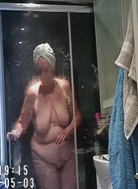 Shower cleaner