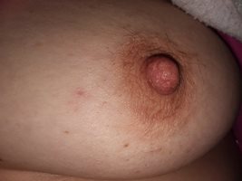 My BBW Tracey's tits.