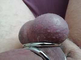 Nice and hard, full balls ready to explode