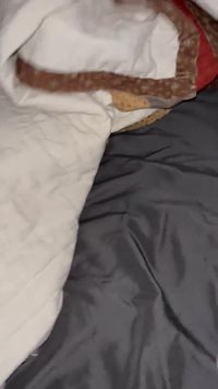 Getting my pussy flashed while I’m asleep.  Pretty sure he lets he’s buddie...