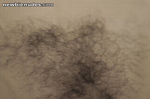 pubes for the asking  