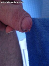 my cock with a drip of precum from when i woke up this morning. let me know...