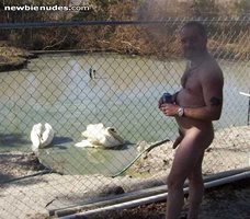 Me nude with the swans!