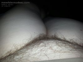 View of BBW pubes....would you like to see more?